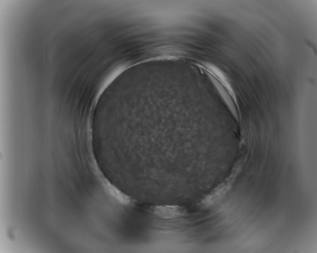 X0000096400859200801311349