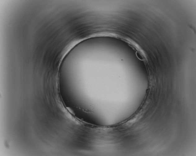 X0000096400860200801311349