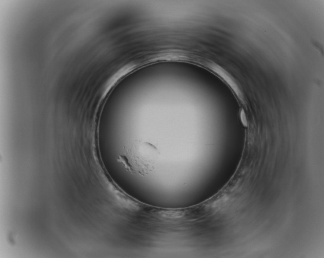 X0000096400861200801311349