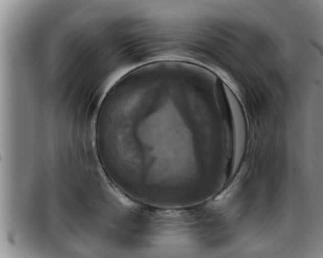 X0000096400862200801311349