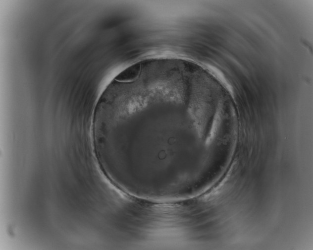 X0000096400863200801311349