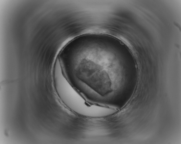 X0000096400864200801311349