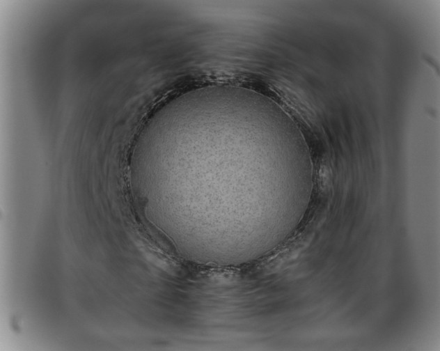 X0000096400865200801311348