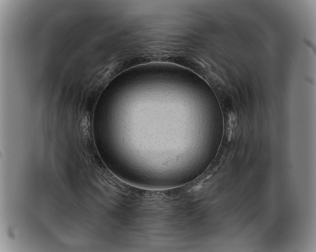 X0000096400866200801311348