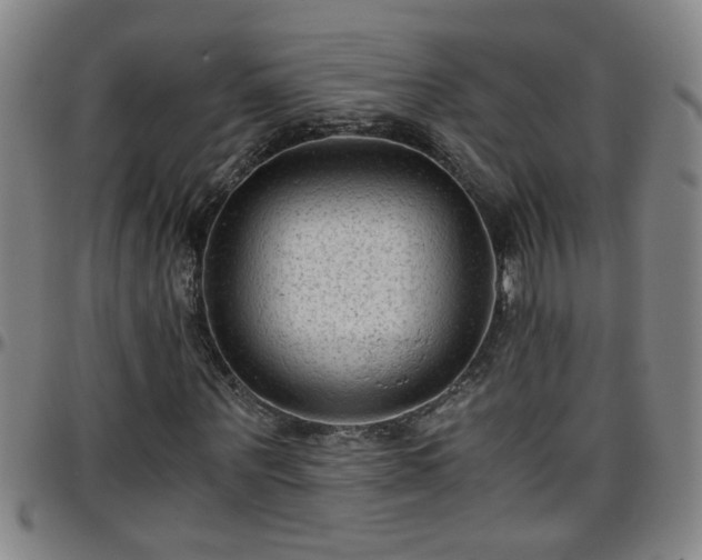 X0000096400867200801311348