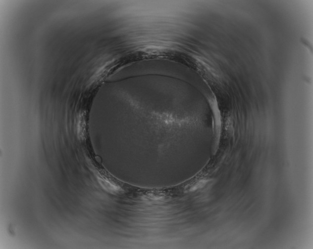 X0000096400868200801311348