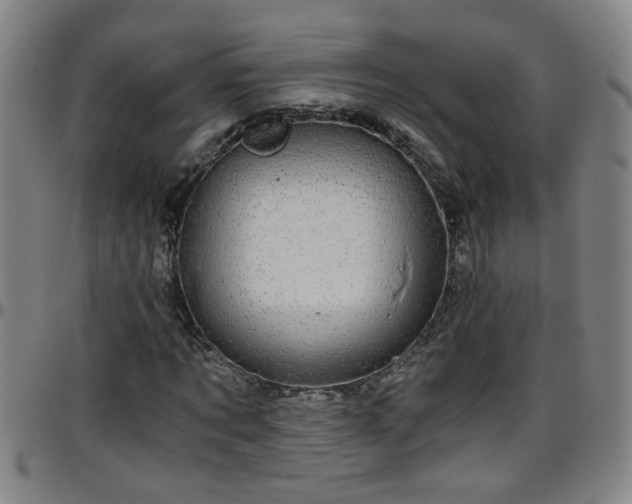 X0000096400869200801311348