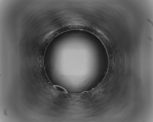 X0000096400870200801311348