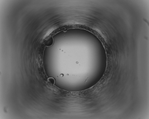 X0000096400871200801311348