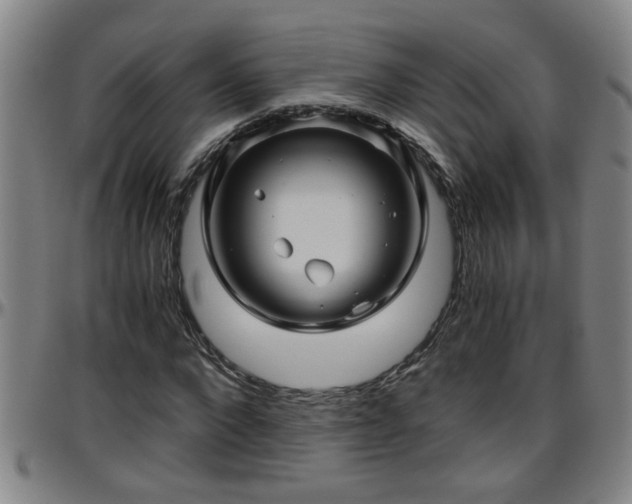 X0000096400872200801311348