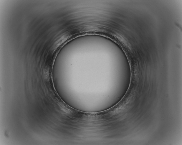 X0000096400873200801311348