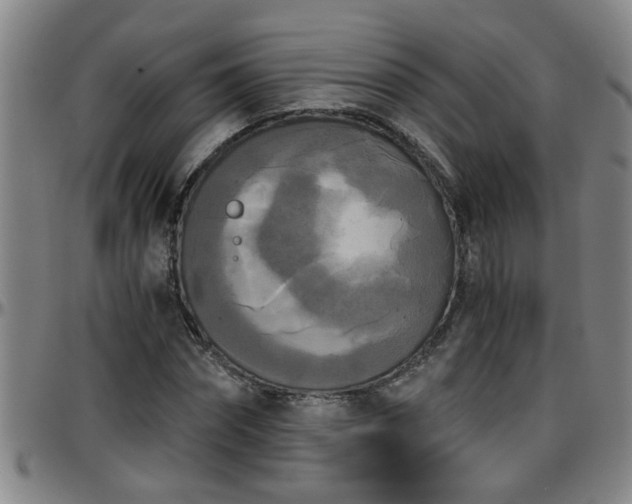 X0000096400874200801311348