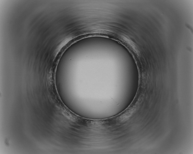 X0000096400875200801311348