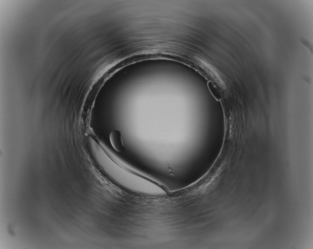 X0000096400876200801311348