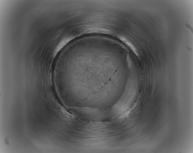 X0000096400877200801311348