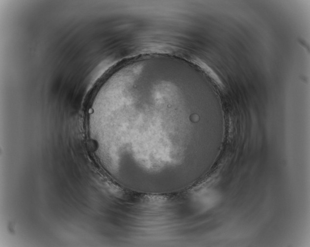 X0000096400878200801311348