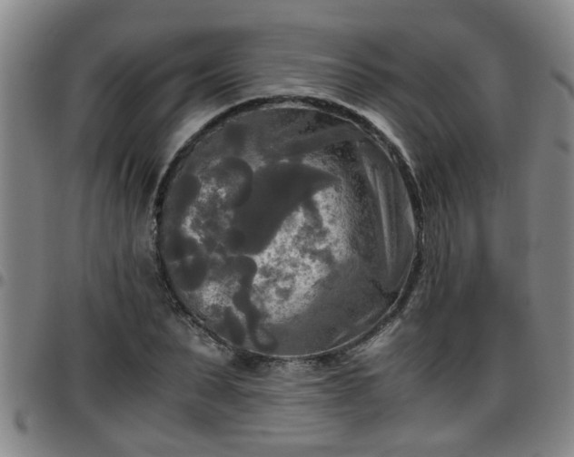 X0000096400879200801311348