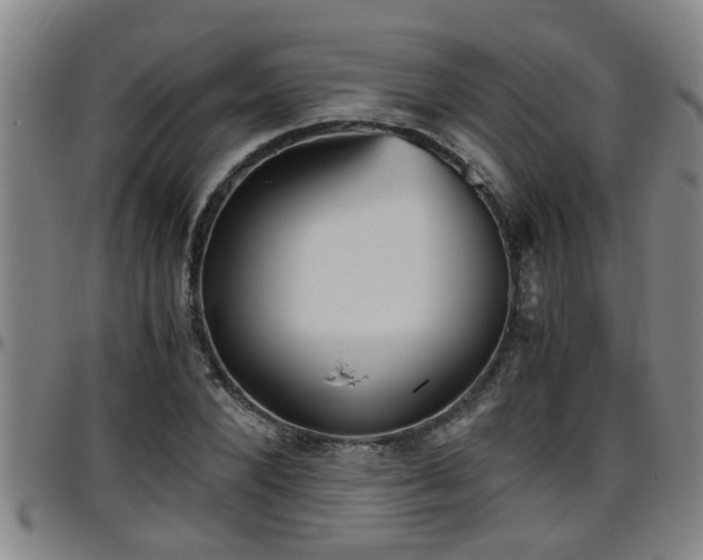 X0000096400880200801311348