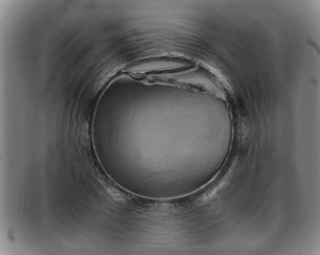 X0000096400881200801311348