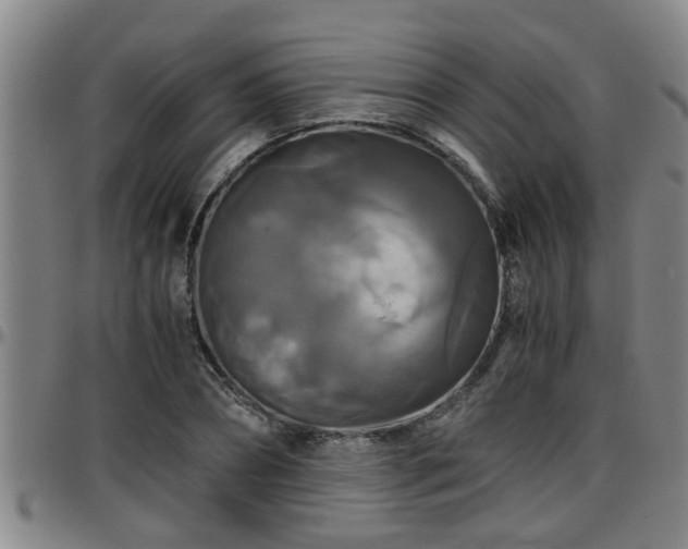 X0000096400882200801311348