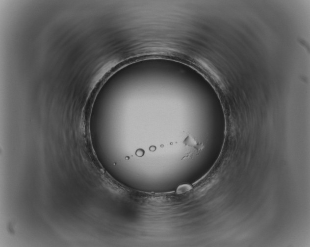 X0000096400883200801311348