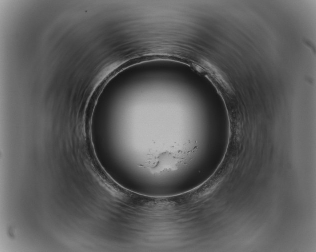 X0000096400884200801311348