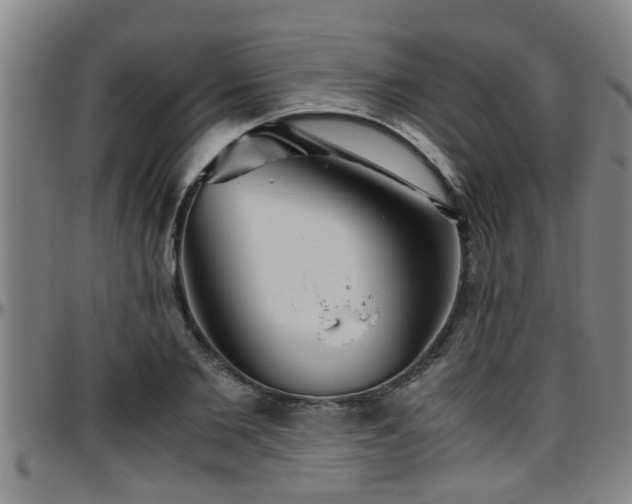 X0000096400885200801311348