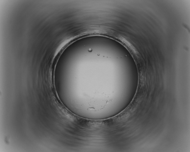 X0000096400886200801311348