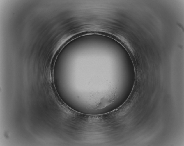 X0000096400887200801311348