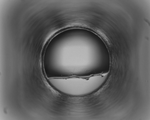 X0000096400888200801311348