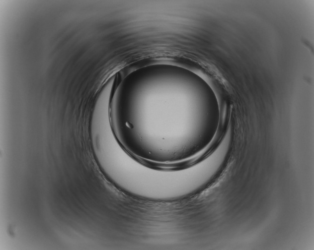 X0000096400889200801311348