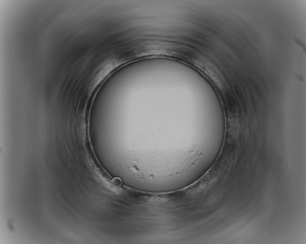 X0000096400890200801311348