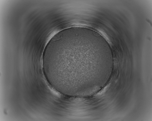 X0000096400891200801311348