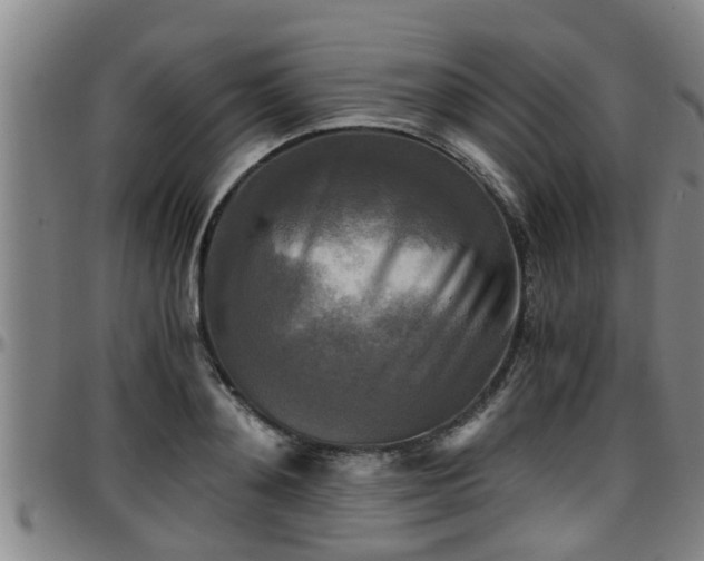 X0000096400892200801311348