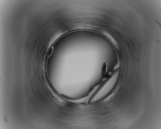 X0000096400893200801311348