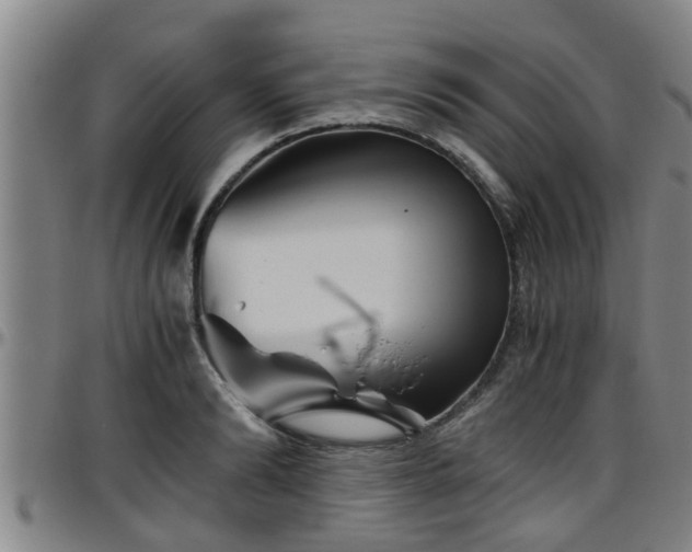 X0000096400894200801311348