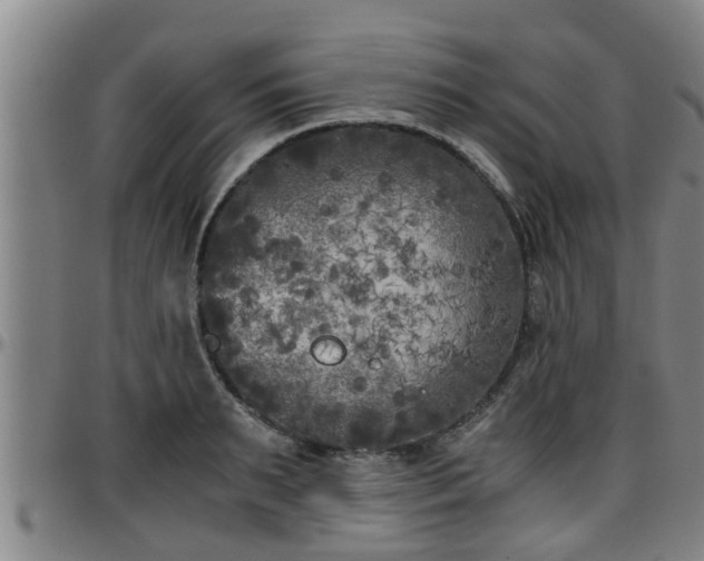 X0000096400895200801311348