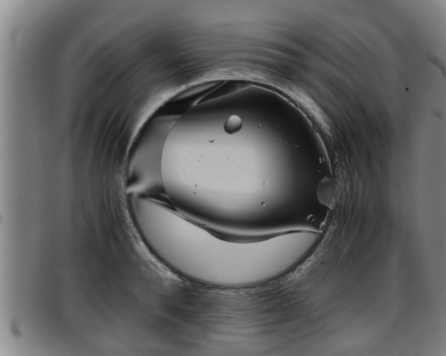 X0000096400896200801311348