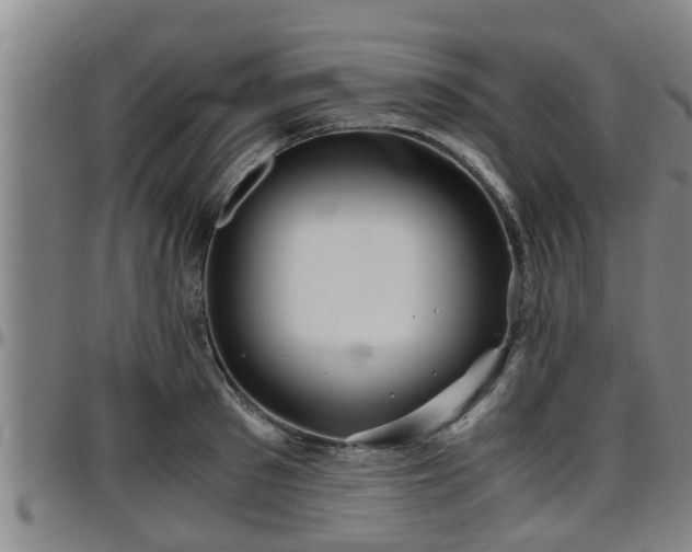 X0000096400897200801311348