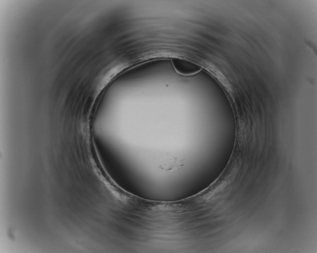 X0000096400898200801311348