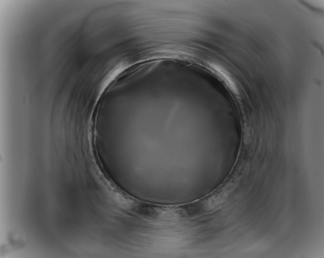 X0000096400899200801311348