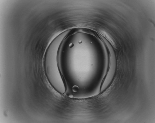 X0000096400900200801311348