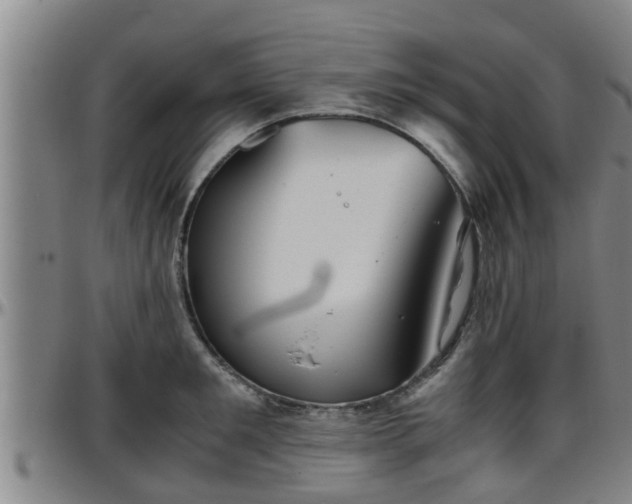 X0000096400901200801311348