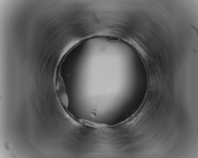 X0000096400902200801311348