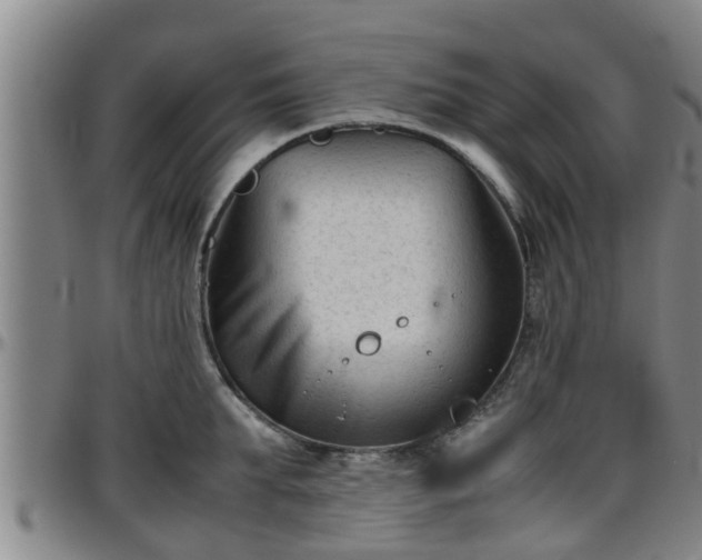 X0000096400903200801311348