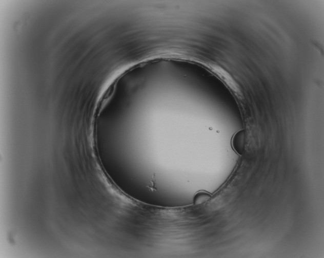 X0000096400904200801311348