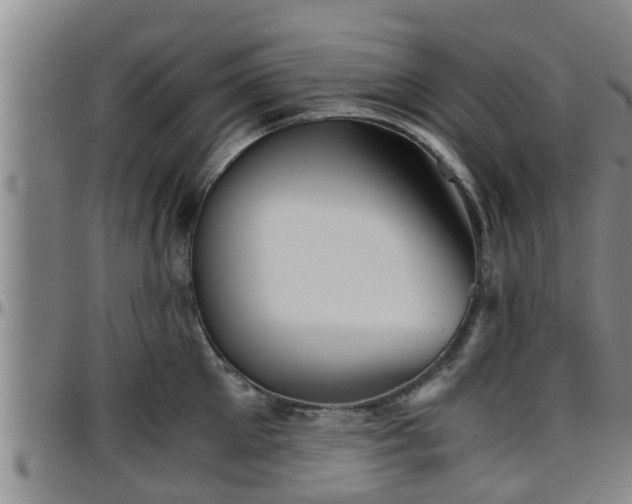 X0000096400905200801311348