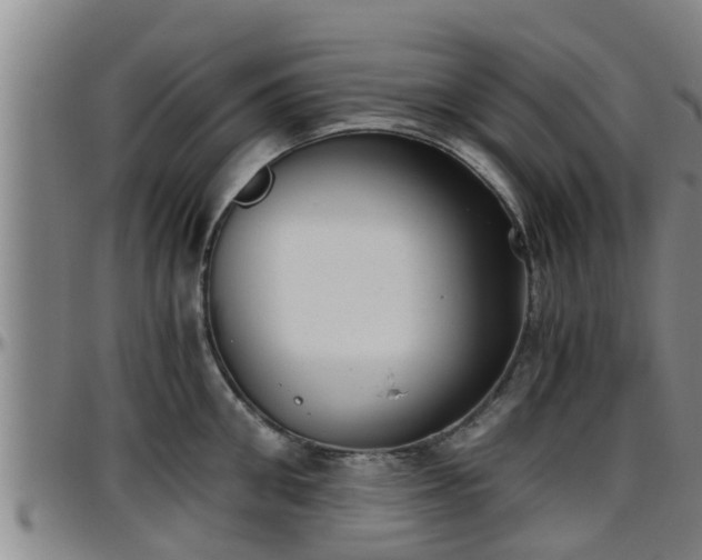 X0000096400906200801311348