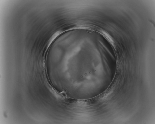 X0000096400907200801311348