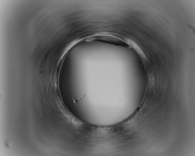 X0000096400908200801311348